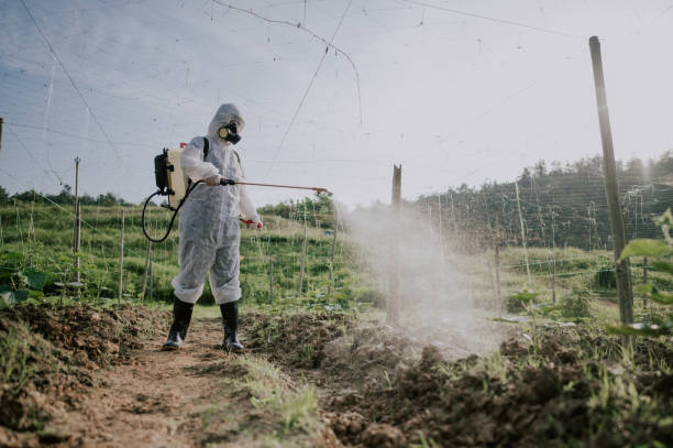 Best Best Pest Control Companies  in Newcastle, WA