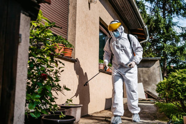 Best Bed Bug Extermination  in Newcastle, WA