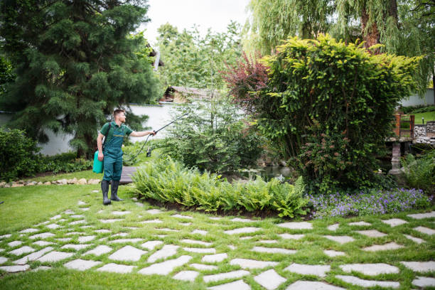 Best Wasp Removal Services  in Newcastle, WA