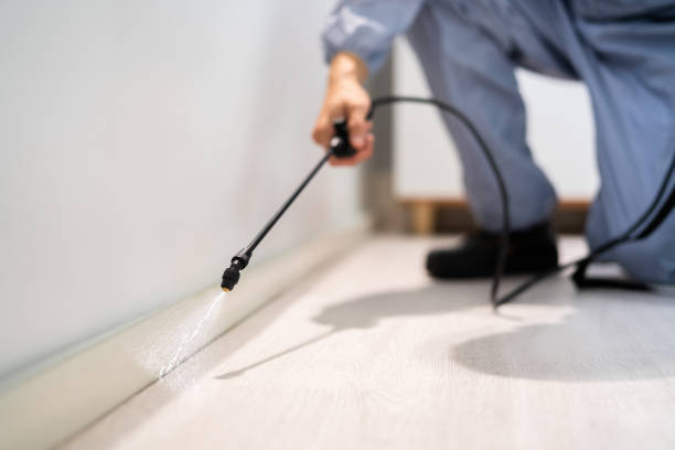 Trusted Newcastle, WA Pest Control Experts
