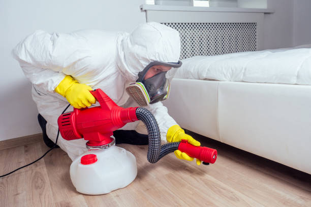 Best Local Pest Control Services  in Newcastle, WA