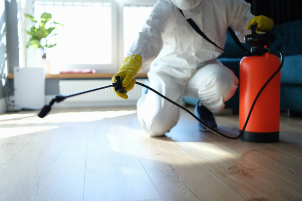 Best Pest Control Treatment  in Newcastle, WA