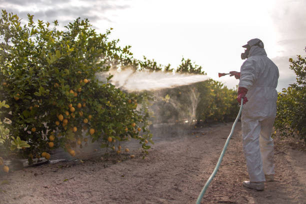 Best Residential Pest Control  in Newcastle, WA