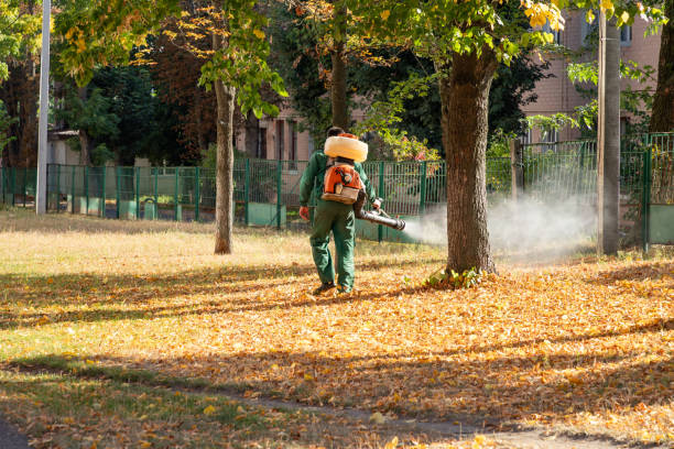 Best Commercial Pest Control Services  in Newcastle, WA