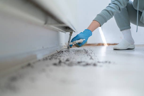 Best Wildlife Control Services  in Newcastle, WA